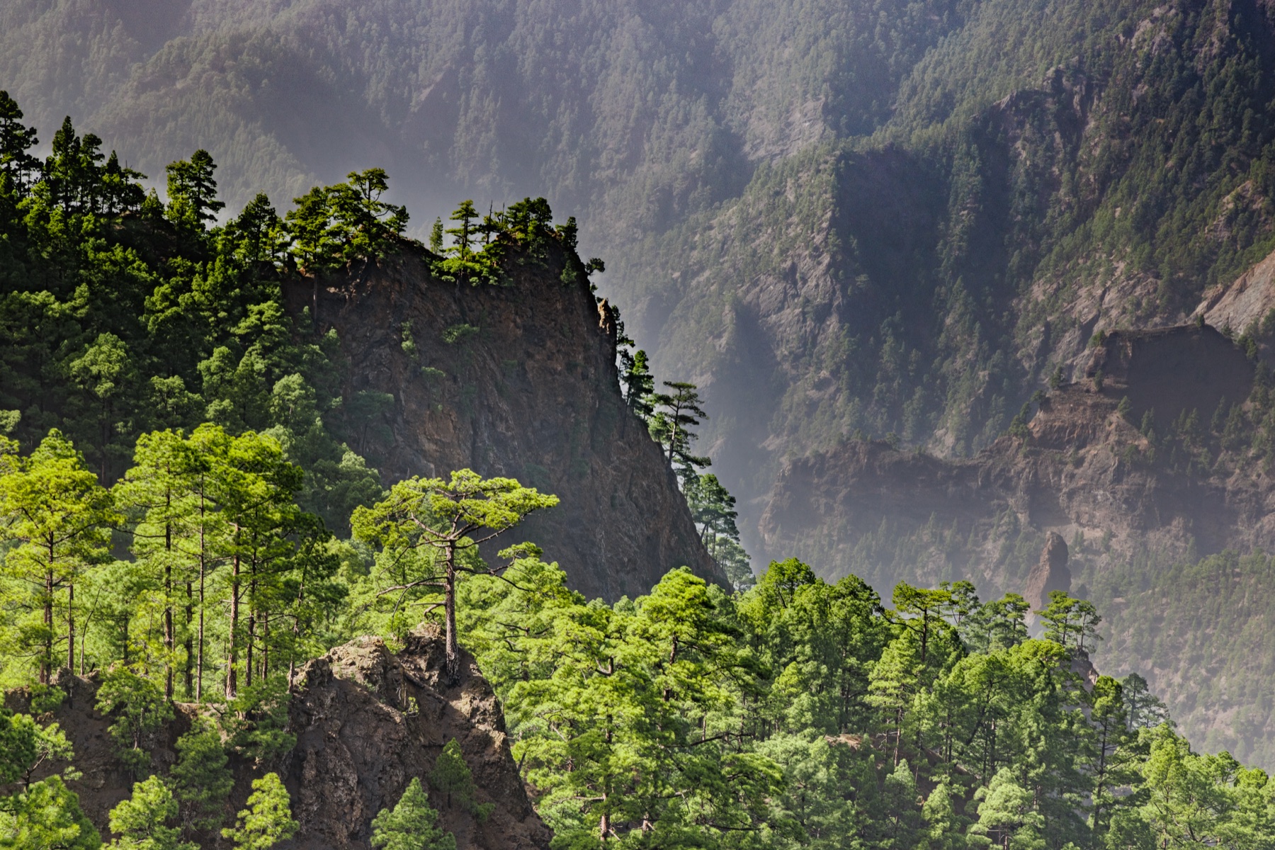 Mirador de la Cumbrecita en el Parque Nacional de la Caldera de Taburiente