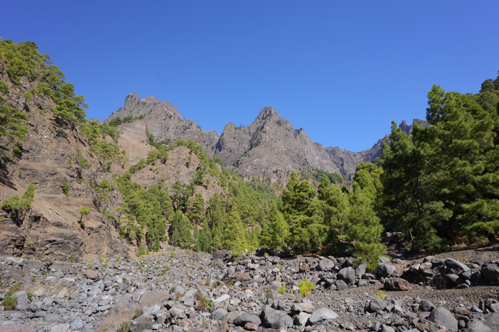 Excursiones en La Palma