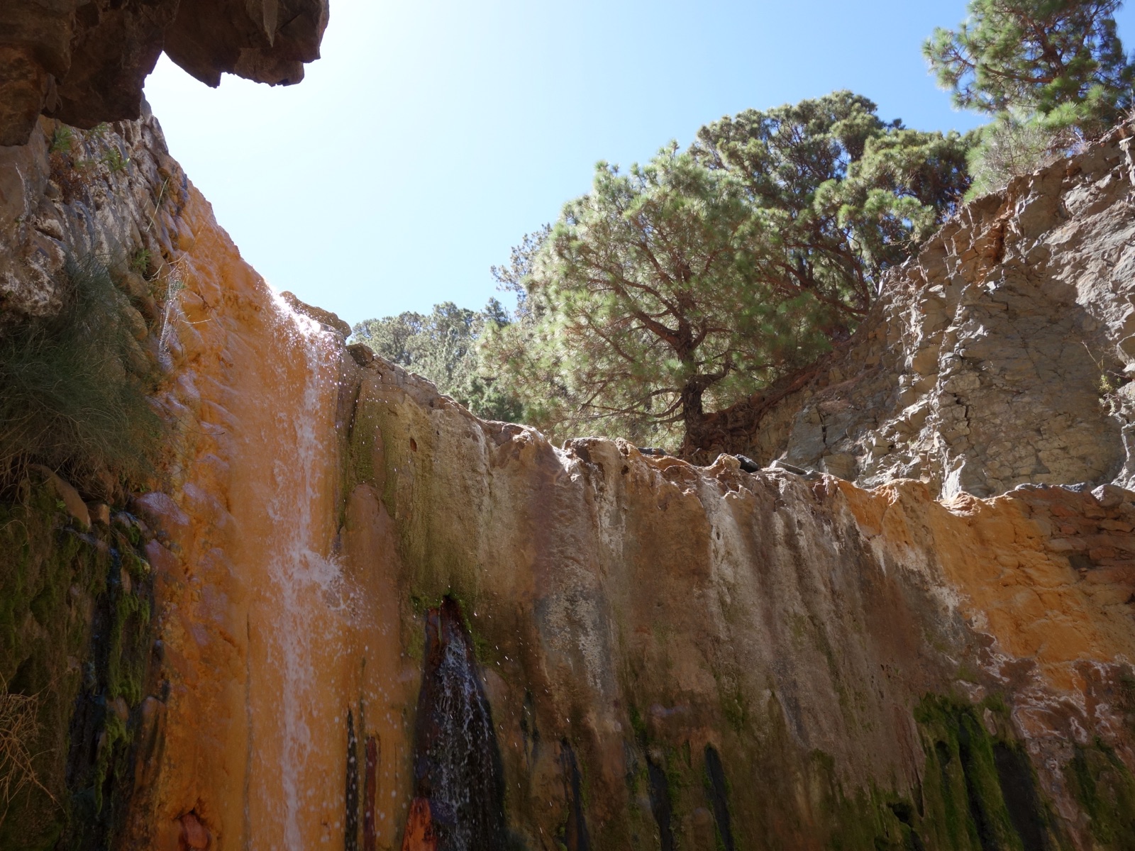 Sendero en la Caldera de Taburiente entre pinares canarios, La Palma