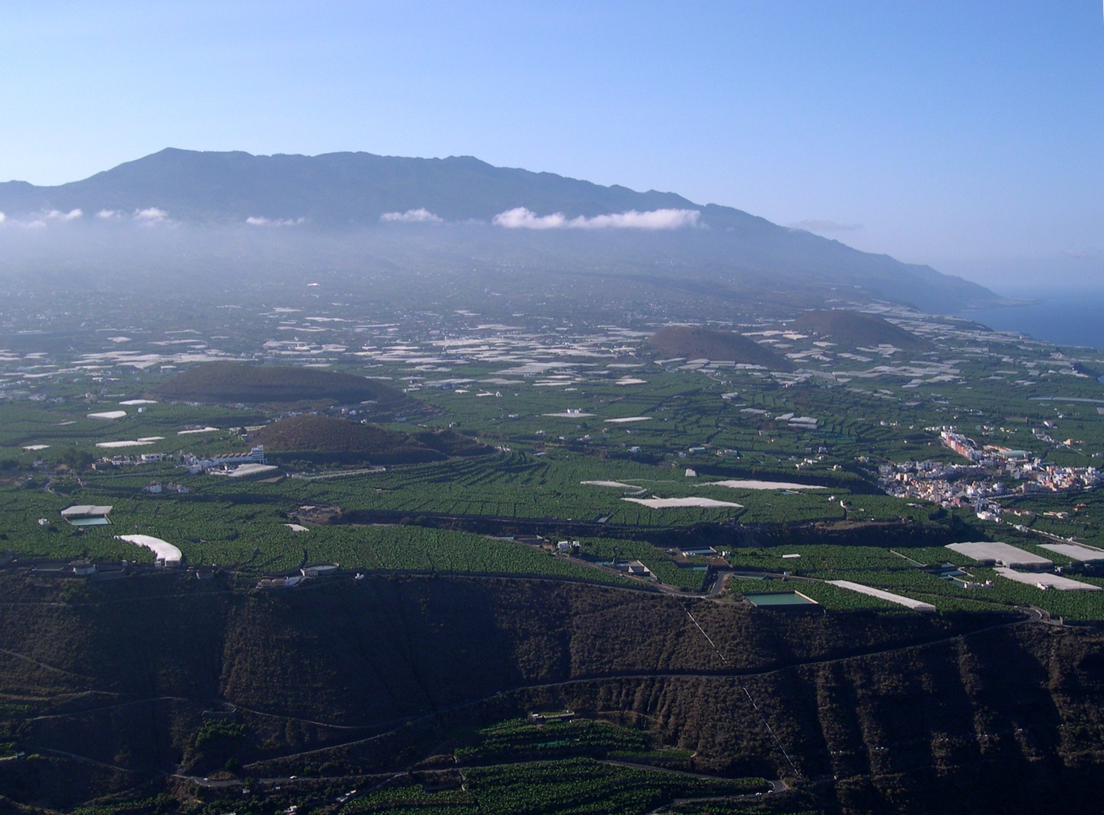 Vinos de La Palma: de la viña volcánica a la copa