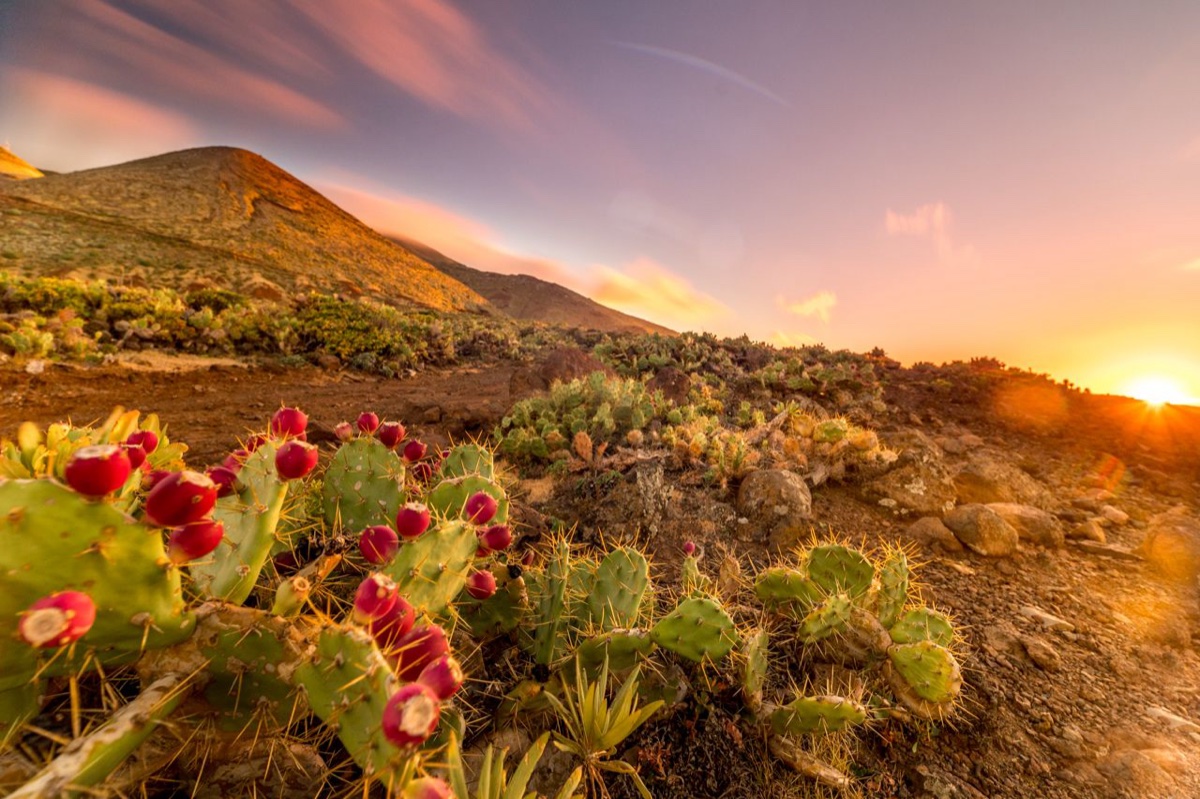 Ruta de senderismo en La Palma, Islas Canarias
