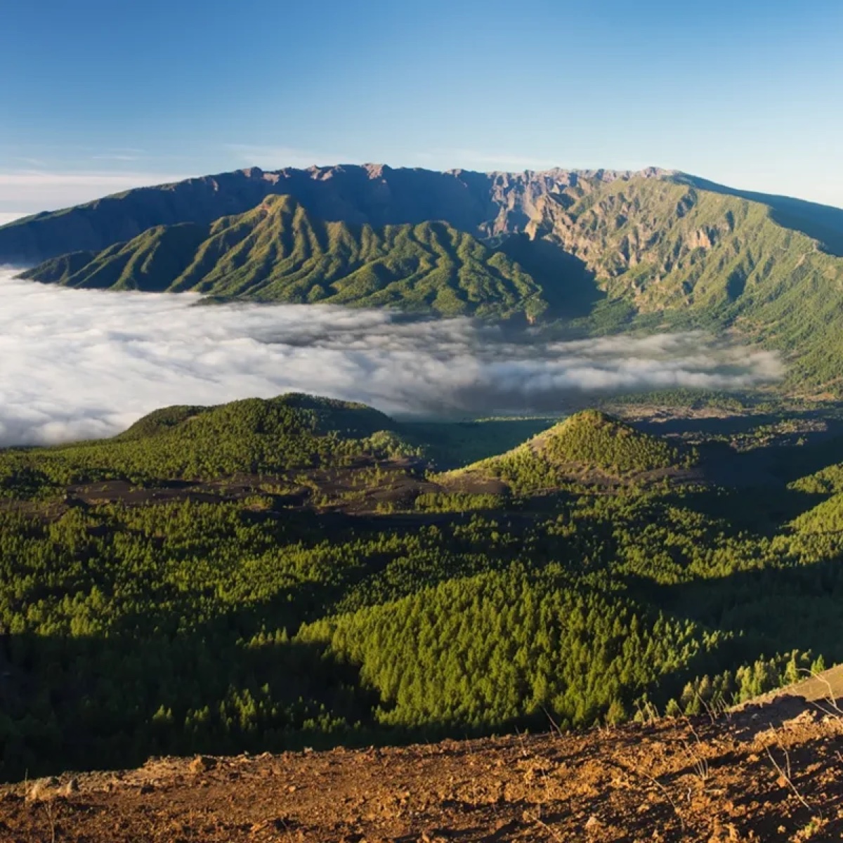 Sendero La Palma, ruta sorpresa