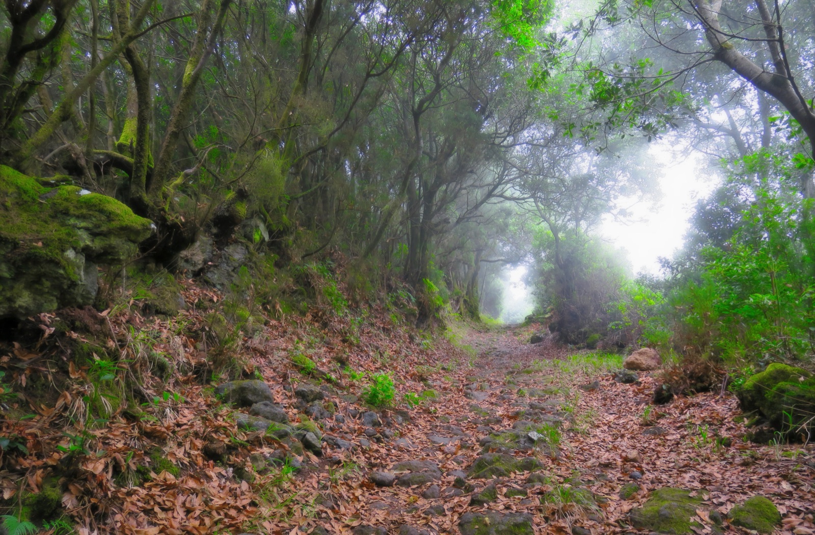 La leyenda de la Cueva Bonita