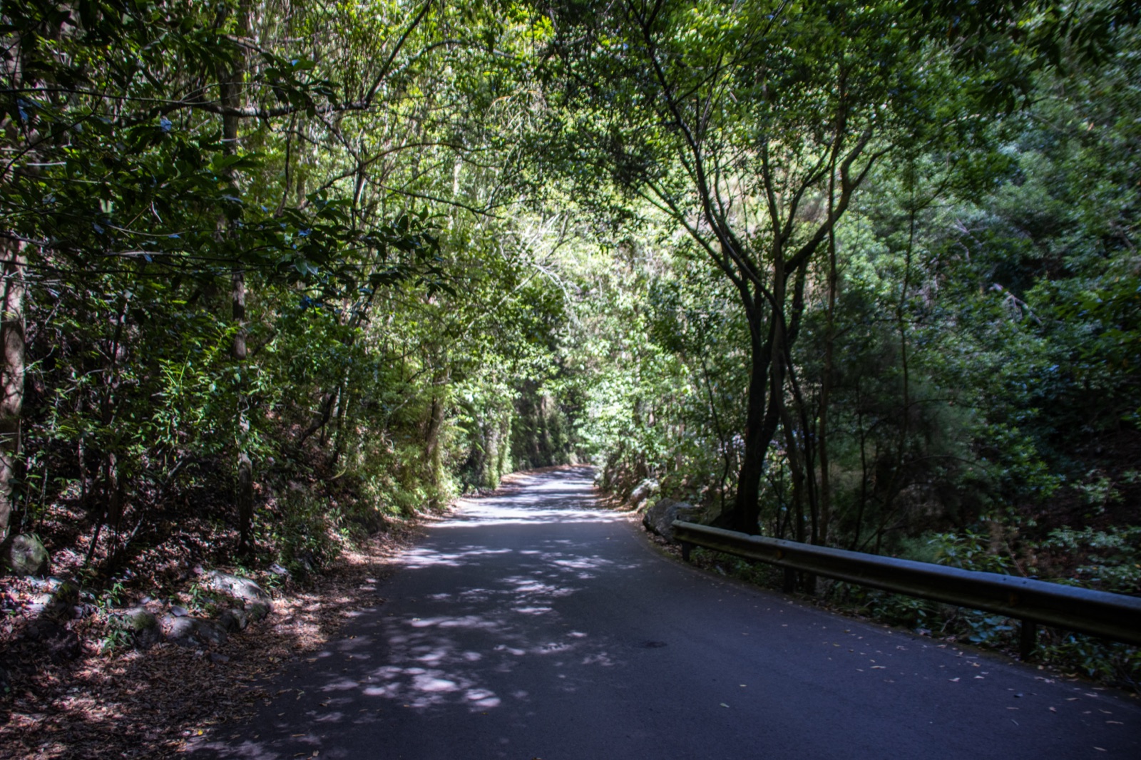 La Palma en 3 días