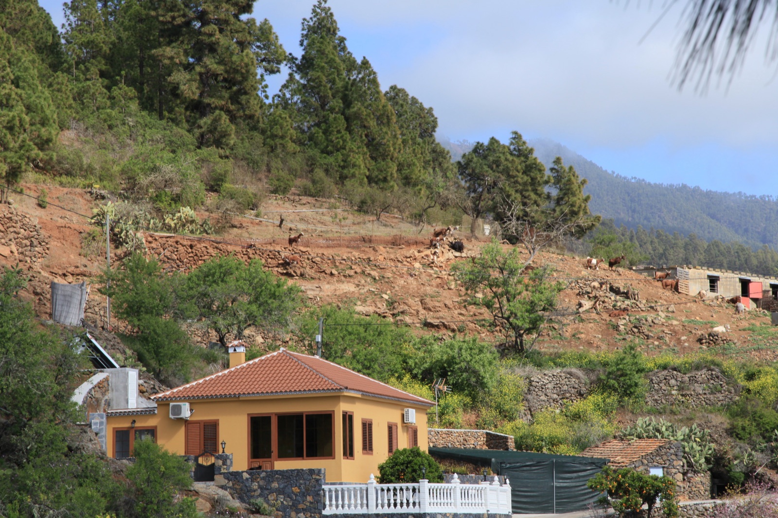 Tijarafe La Palma