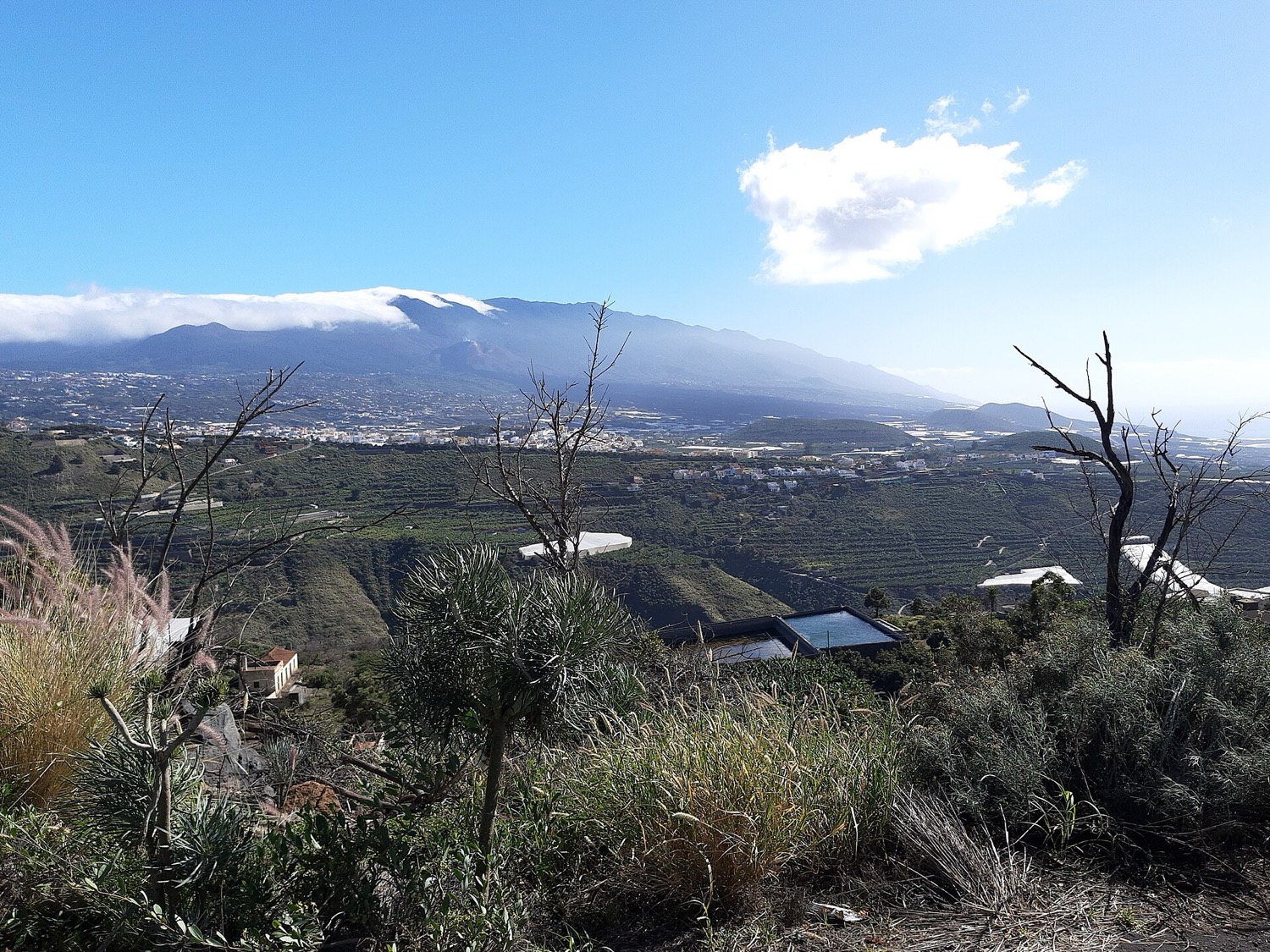 Campos de lava del volcán Tajogaite bajando hacia el oeste de La Palma